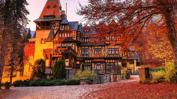 Bucharest : Peles Castle, Dracula's Castle & Brasov Day Trip