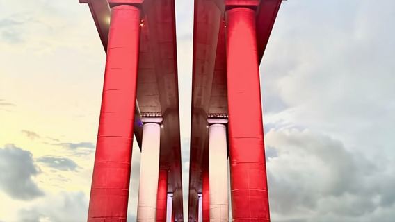 Сказочный круиз на закате во Флориде с дельфинами