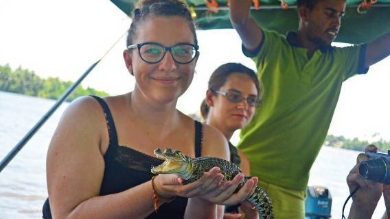 Bentota River Safari with Mangrove and Wildlife Encounter