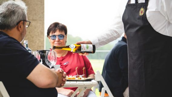 Nhà máy rượu vang Granbazán: Tham quan có hướng dẫn và nếm thử rượu vang