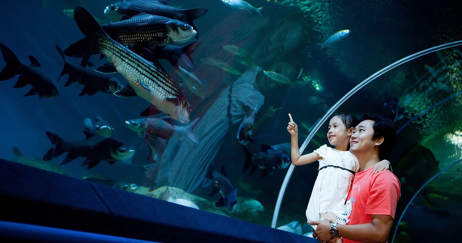 Pattaya: biglietto d'ingresso all'Acquario Underwater World Pattaya