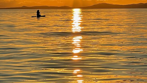 Victoria: SUP-Tour bei Sonnenaufgang oder Sonnenuntergang