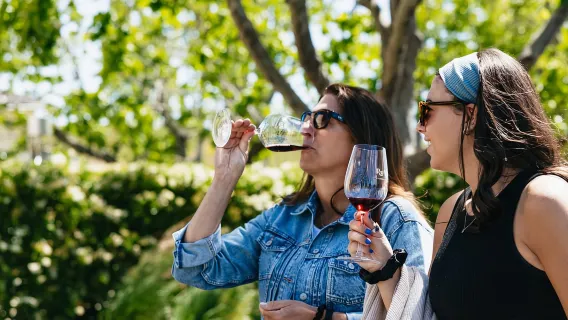 San Francisco: tour enologico nella Napa Valley e nella Sonoma Valley