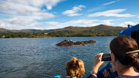 Escursione in barca diretta al faro di Fastnet Rock - Baltimora. Guidata.