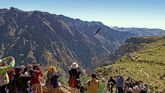 Arequipa: Excursion to Chivay and the Colca Canyon