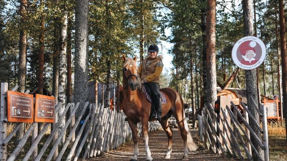 Rovaniemi: tour a cavallo con Finnhorses presso SCV