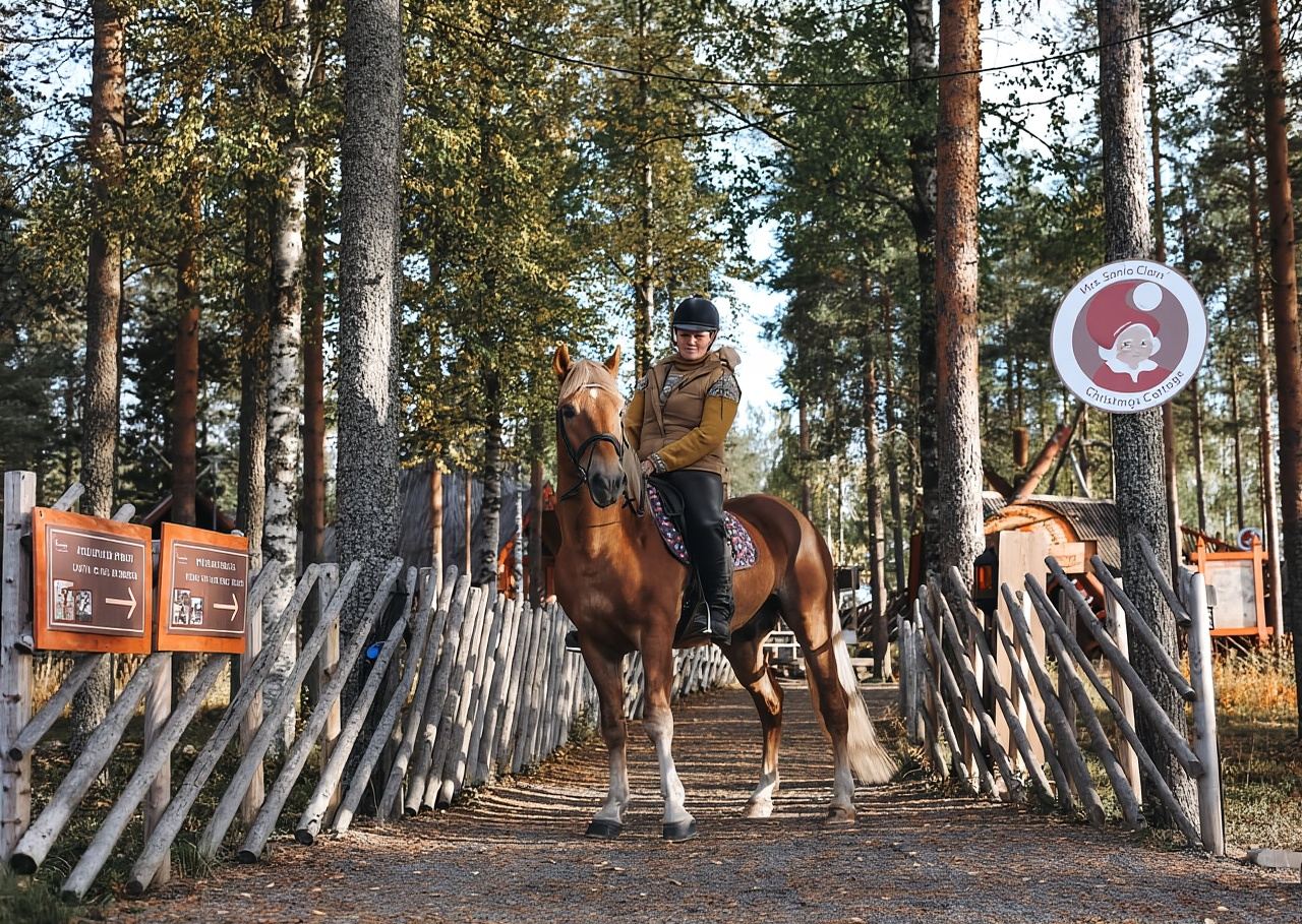 Rovaniemi: Late Night Ride with Finnhorses