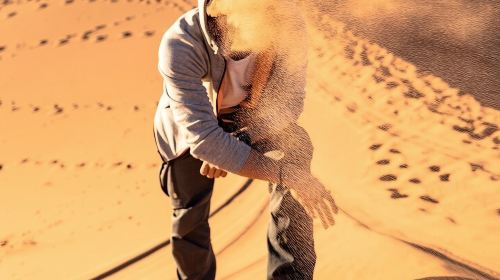 Vip Sunset Evening Safari Dubai: Camel Ride, Shows & BBQ Dinner Day Tours 4