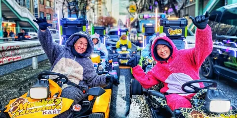 東京高級卡丁車之旅:澀谷至新宿路線 *需國際駕駛許可證