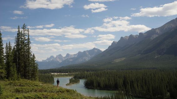 Canmore: 3 uur durende lokale ontdekkingstocht en wandeling met een gids