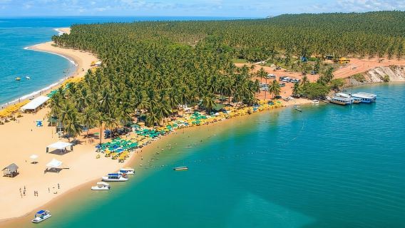 Costa Sul (French ou Barra de São Miguel e Gunga)(GTE tours)