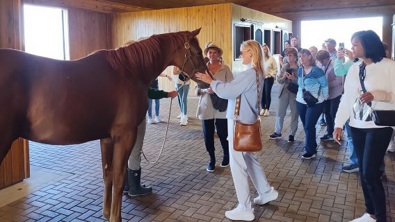 Half-Day Thoroughbred Horse Farm Tour in Kentucky