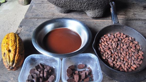 Chocolate Tour in Bribri Indigenous Area & Cahuita National Park