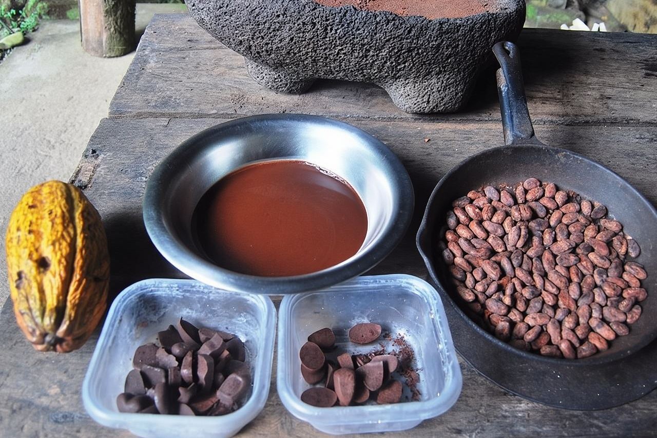  Chocolate Tour in Bribri Indigenous Area & Cahuita National Park