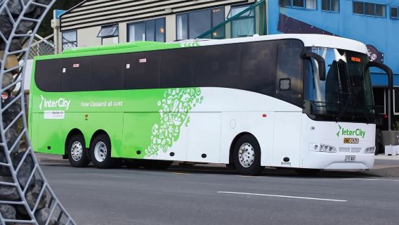Билет на междугородний автобус InterCity по центральному маршруту Южного острова Новой Зеландии (отправление из Крайстчерча/Квинстауна/Теканпо на выбор)