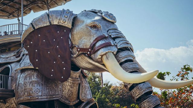 中科院西雙版納熱帶植物園+勐泐文化旅遊區一日遊丨1單1團
