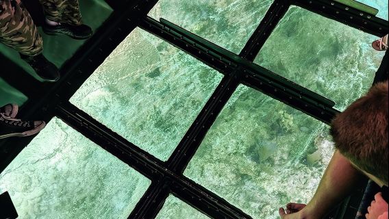 Key Largo Coral Reef Glass Bottom Boat Adventure