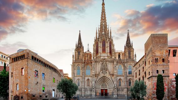 Barcelona Cathedral Skip-The-Line Tour, Terrace and Virtual Experience