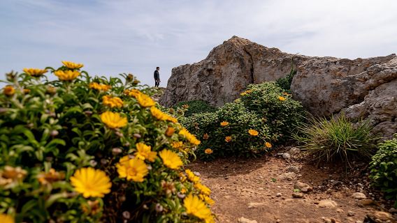 4x4 off-road half-day guided tour with wine tasting from Albufeira