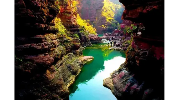 Zhengzhou: Yuntaishan Private private charter one-day tour@