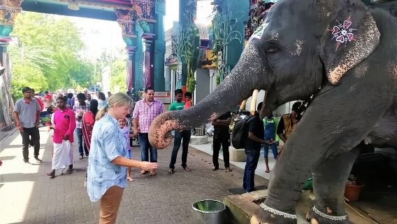 Visita guidata di un'intera giornata a Pondicherry con pranzo e prelievo dall'hotel
