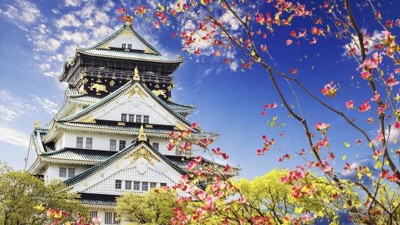 日本大阪道頓堀+大阪城+心齋橋-可定制【中文專車-舒適純淨】