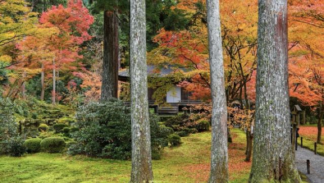 日本京都御苑-清水寺-二年坂三年坂【中文專車 舒適純淨】