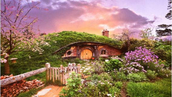 霍比特村+螢火蟲洞一日遊【小團共乘/包車/含門票/雙語司導】