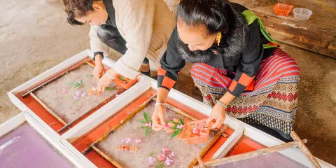 bikego西雙版納野象谷+曼掌村一日遊-6人親子體驗小團