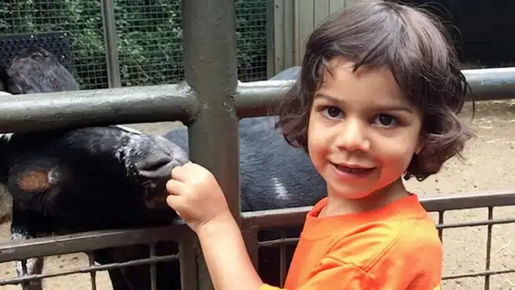 Central Park Zoo Admission Ticket with 4D Theater Access 