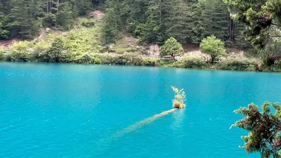 Gemeinsamer Jiuzhaigou-Transfer von Jiuzhaigou zum Bahnhof Huanglongjiuzhai|Auto ist vorhanden