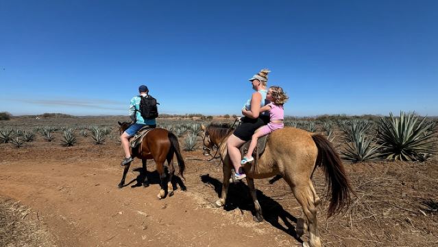 Jungle and Beach Horseback ride Tour in Pacific Coast