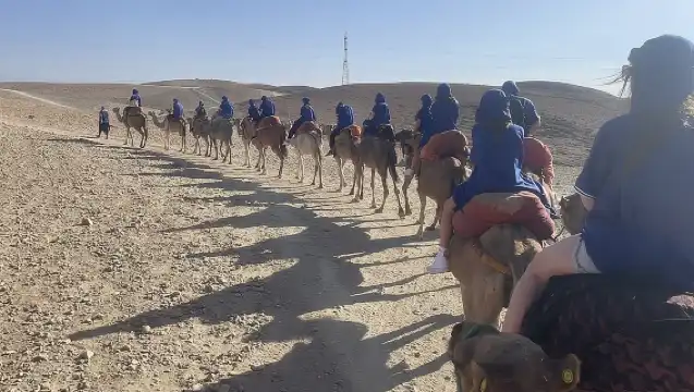 Agafay Desert from Marrakech: Quad bike, Camel ride, Dinner show