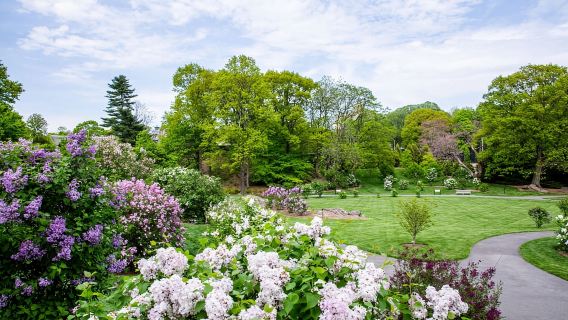 NYC: Pase para el Jardín Botánico de Nueva York