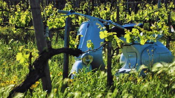 폼페이 출발: 베수비오 산 아래 빈티지 베스파 투어