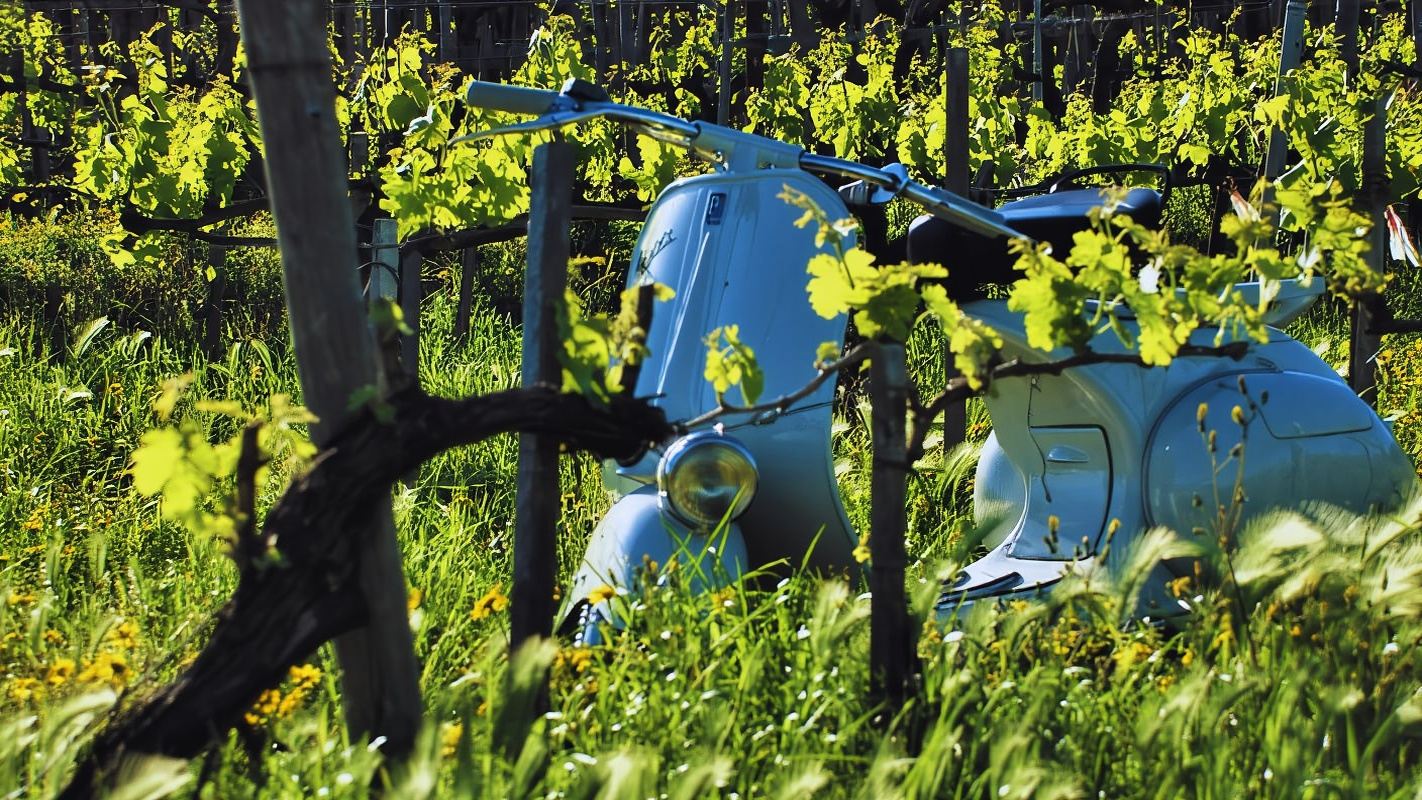 ポンペイ発:ヴェスヴィオ山麓のヴィンテージ・ベスパ・ツアー