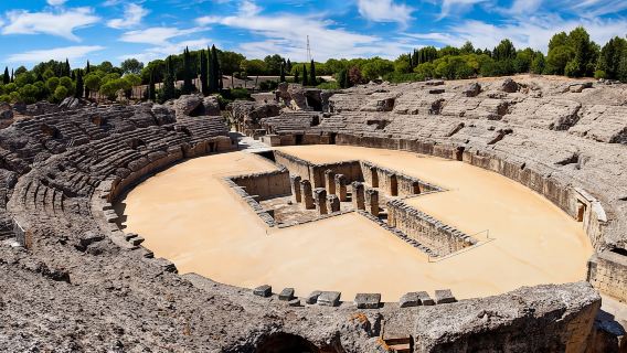 Từ Seville: Chuyến đi xe đạp có hướng dẫn kéo dài nửa ngày đến Italica