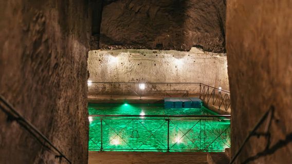 Napoli: Visita guidata al Tunnel Borbonico con biglietto d'ingresso