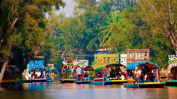 Viaje a Xochimilco y Coyoacán Colonial
