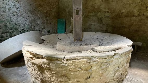 Selbstgeführte E-Fatbike-Touren und -Verleih