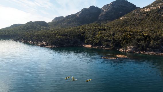 Lawatan Kayak Kayuh Freycinet