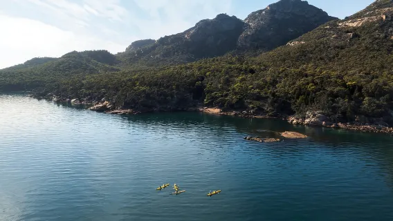 Chuyến tham quan chèo thuyền kayak Freycinet