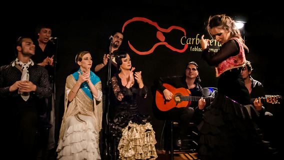 Madrid: Espectáculo de flamenco con tapas y tour de vinos