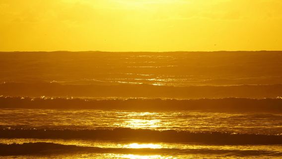 From Essaouira: 2h Horseback Ride with Sunset