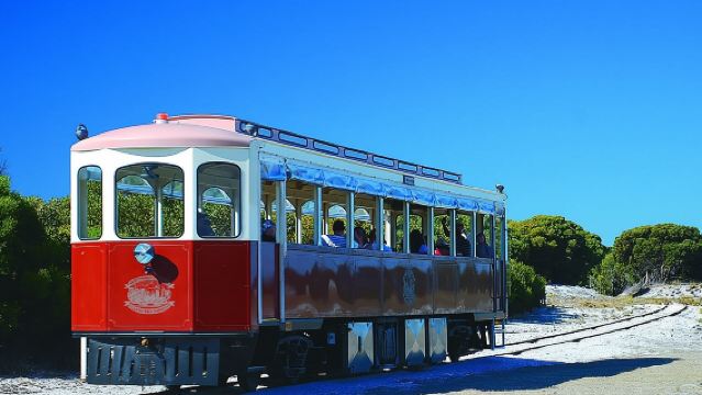 Grand Tour de l'île Rottnest incluant le déjeuner et une balade en train historique