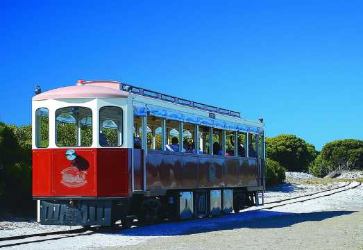 Rottnest Island Grand Tour Including Lunch and Historical Train Ride AUD 111.15