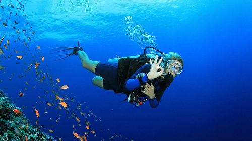 Dubai ScubaDive.ae + Jumeirah Beach diving experience scuba diving 0.5h [Dubai scuba diving experience] 7