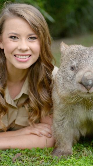 1-day tour to Australia zoo [includes admission ticket, wildlife hospital, Brisbane transfers]