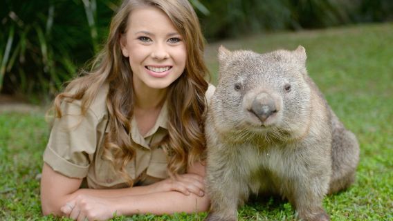 Australia Zoo 1-day tour [Includes admission ticket, Wildlife Hospital, Brisbane transfers]