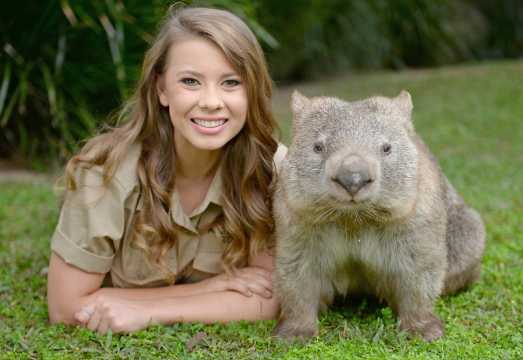 Australia Zoo 1-day tour [Includes admission ticket, Wildlife Hospital, Brisbane transfers] AUD 175.78
